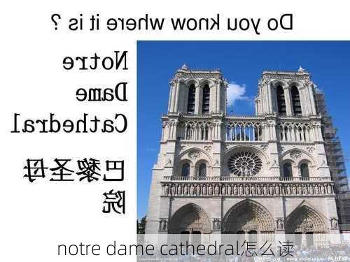 notre dame cathedral怎么读