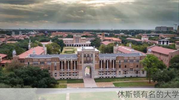 休斯顿有名的大学