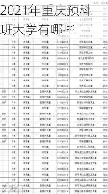 2021年重庆预科班大学有哪些