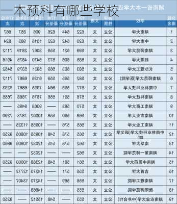 一本预科有哪些学校