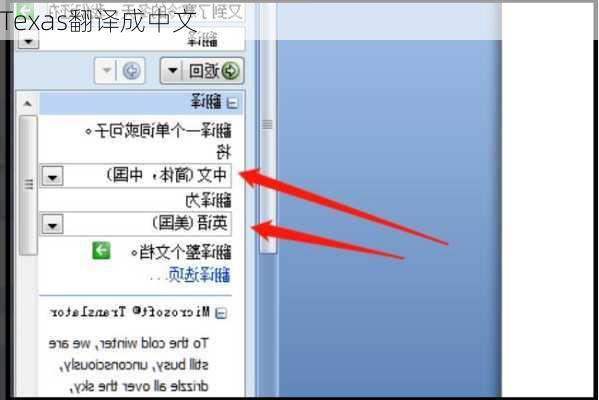 Texas翻译成中文