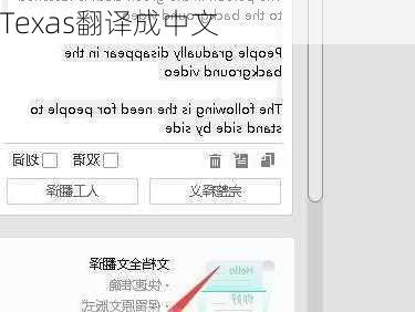 Texas翻译成中文