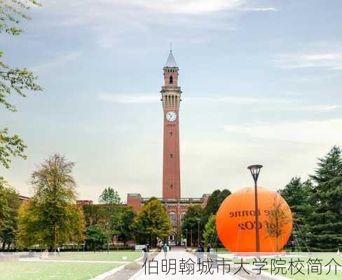 伯明翰城市大学院校简介