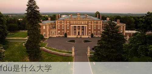 fdu是什么大学