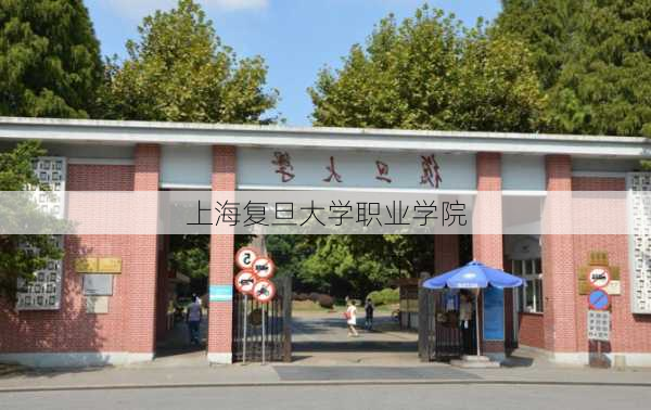 上海复旦大学职业学院