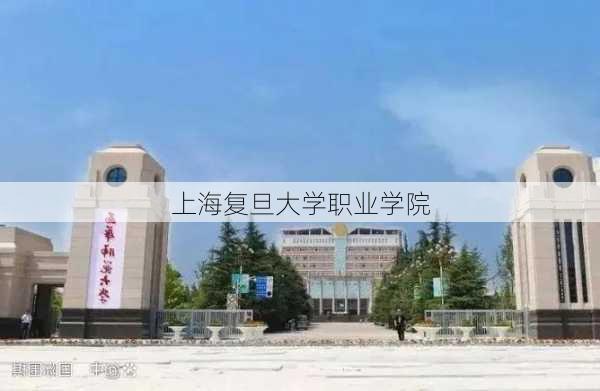 上海复旦大学职业学院