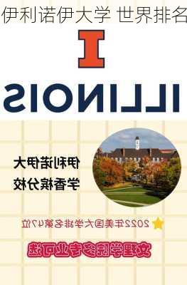 伊利诺伊大学 世界排名