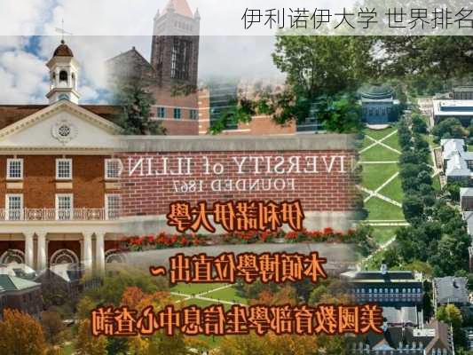 伊利诺伊大学 世界排名