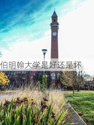 伯明翰大学是好还是坏