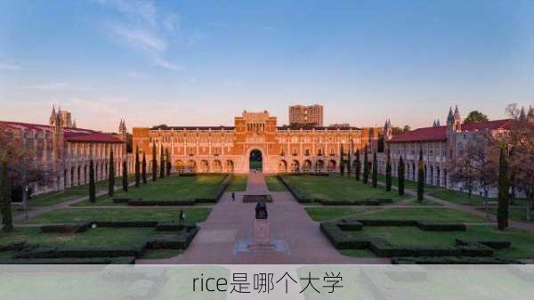 rice是哪个大学