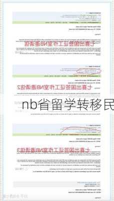 nb省留学转移民