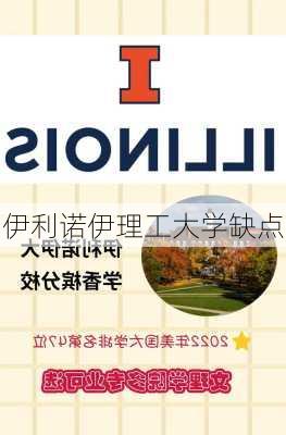 伊利诺伊理工大学缺点