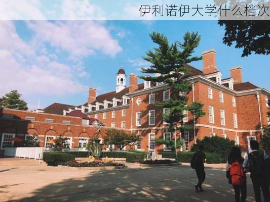 伊利诺伊大学什么档次