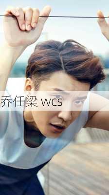 乔任梁 wcs