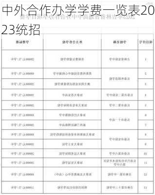 中外合作办学学费一览表2023统招