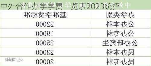 中外合作办学学费一览表2023统招