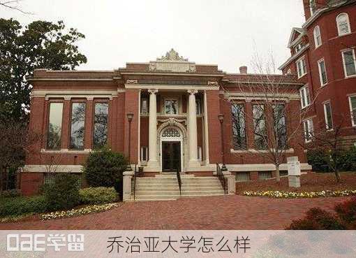 乔治亚大学怎么样