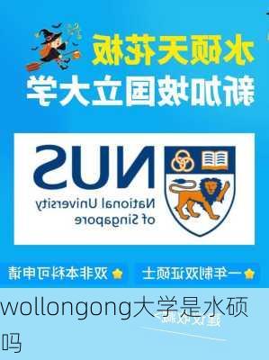 wollongong大学是水硕吗