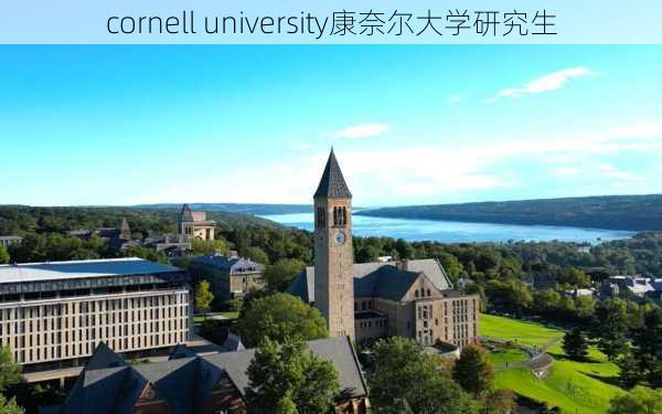 cornell university康奈尔大学研究生