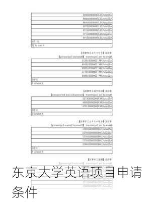 东京大学英语项目申请条件