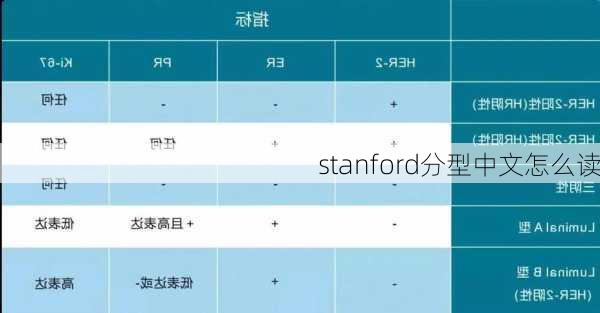 stanford分型中文怎么读