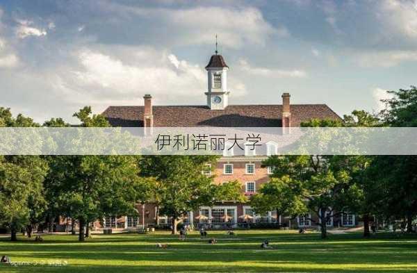 伊利诺丽大学