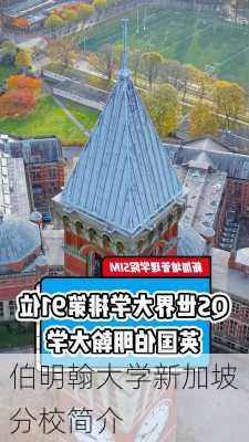 伯明翰大学新加坡分校简介