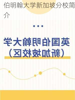 伯明翰大学新加坡分校简介