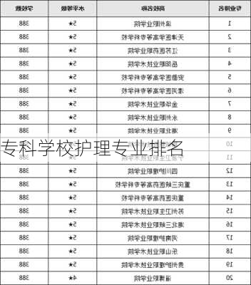 专科学校护理专业排名