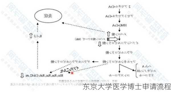 东京大学医学博士申请流程