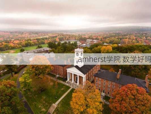 amherst学院 数学好吗