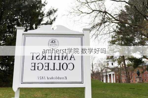 amherst学院 数学好吗