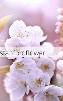 stanfordflower