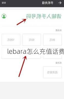 lebara怎么充值话费