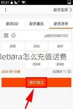 lebara怎么充值话费