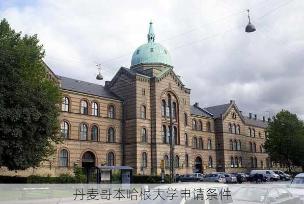 丹麦哥本哈根大学申请条件