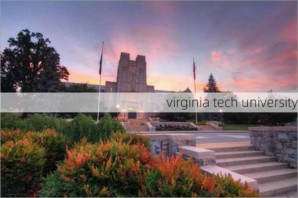 virginia tech university