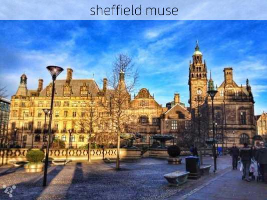 sheffield muse