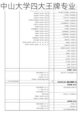 中山大学四大王牌专业