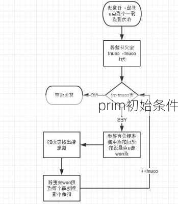 prim初始条件