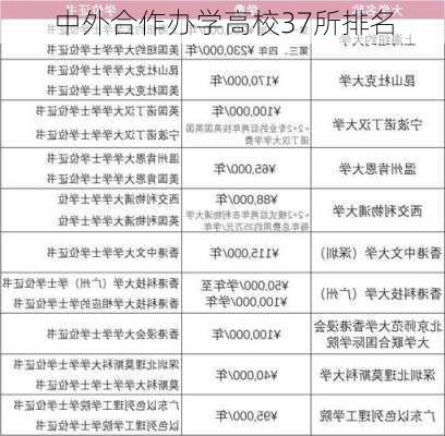 中外合作办学高校37所排名