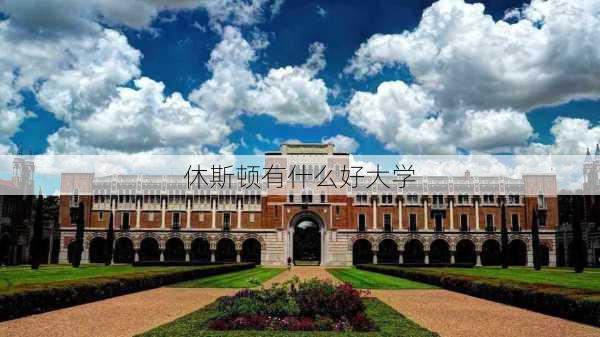 休斯顿有什么好大学