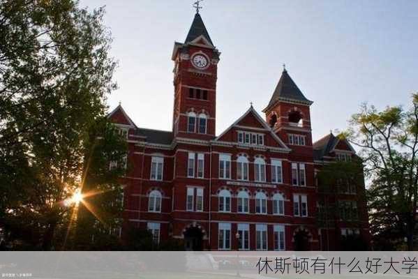 休斯顿有什么好大学