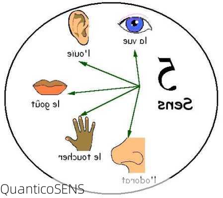 QuanticoSENS