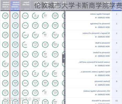 伦敦城市大学卡斯商学院学费