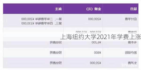 上海纽约大学2021年学费上涨