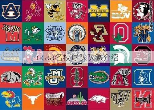 ncaa名校球队队徽介绍