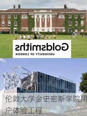 伦敦大学金史密斯学院用户体验工程