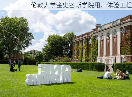 伦敦大学金史密斯学院用户体验工程