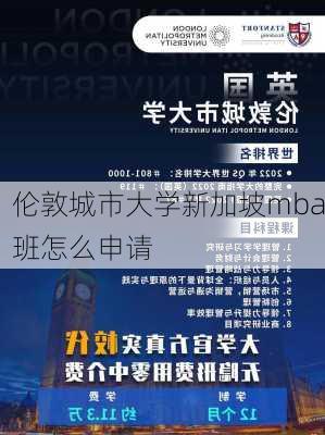 伦敦城市大学新加坡mba班怎么申请